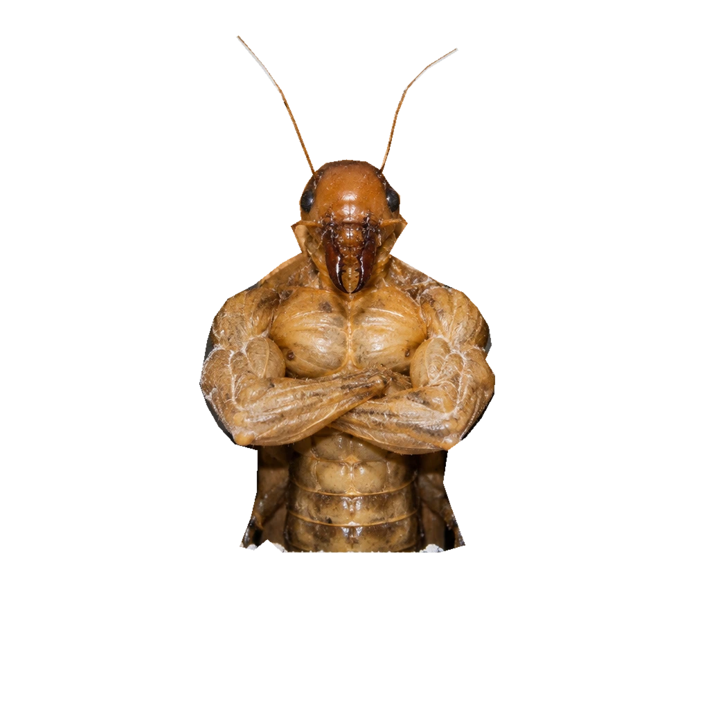 Chad Roach: huge amber chitin muscles, crossed arms, mandibles and long antennae
